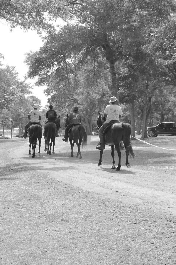 The Mayor on Horseback