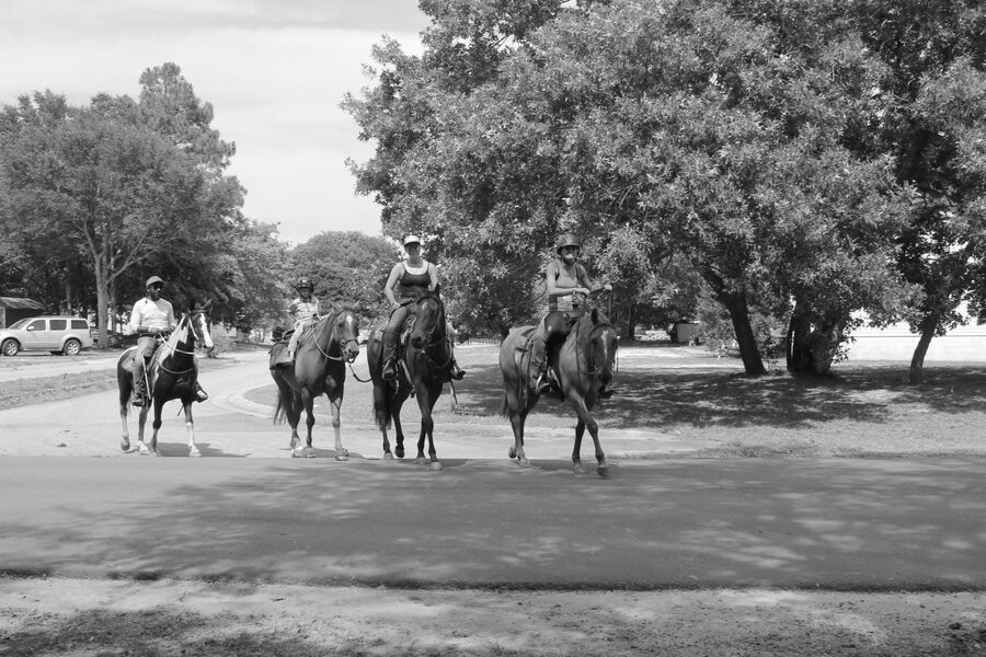 Trail ride in action